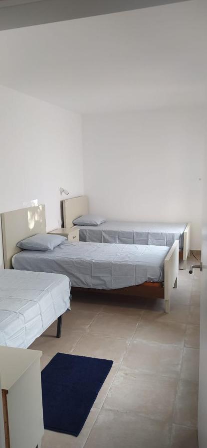 Pis Carretera Santa Pau Apartment Olot Exterior photo